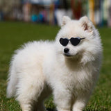 f9998dce6b9431517a196eedbdc8f8e4
